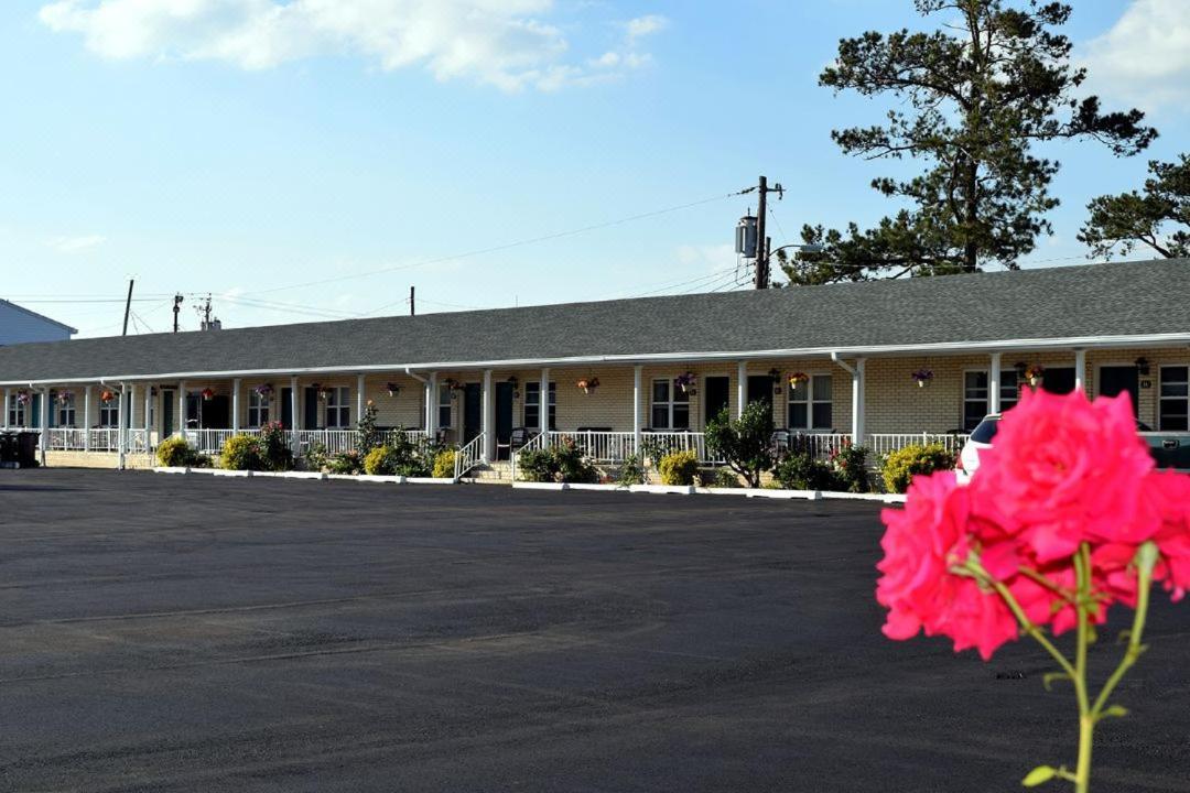 Birchwood Inn Чинкотиг Екстериор снимка